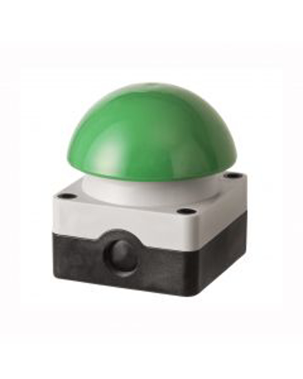 Picture of MUSHROOM BUTTON WITH GREEN BUTTON