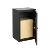 Picture of ESAFE PARCEL POSTBOX BOXIS 646/D RAL SPECIAL 