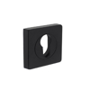 Picture of PROFILE CYLINDER PLATE CONCEALED WITH LUGS SQUARE 55X55X10MM ZINC DIE BLACK